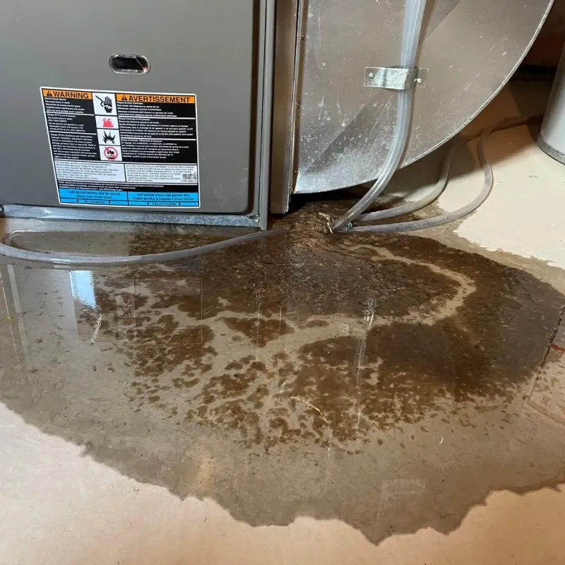 Appliance Leak Cleanup in Meiners Oaks, CA